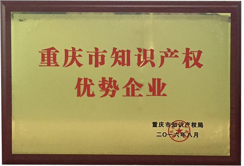 Advantages of Intellectual Property in Chongqing Municipality